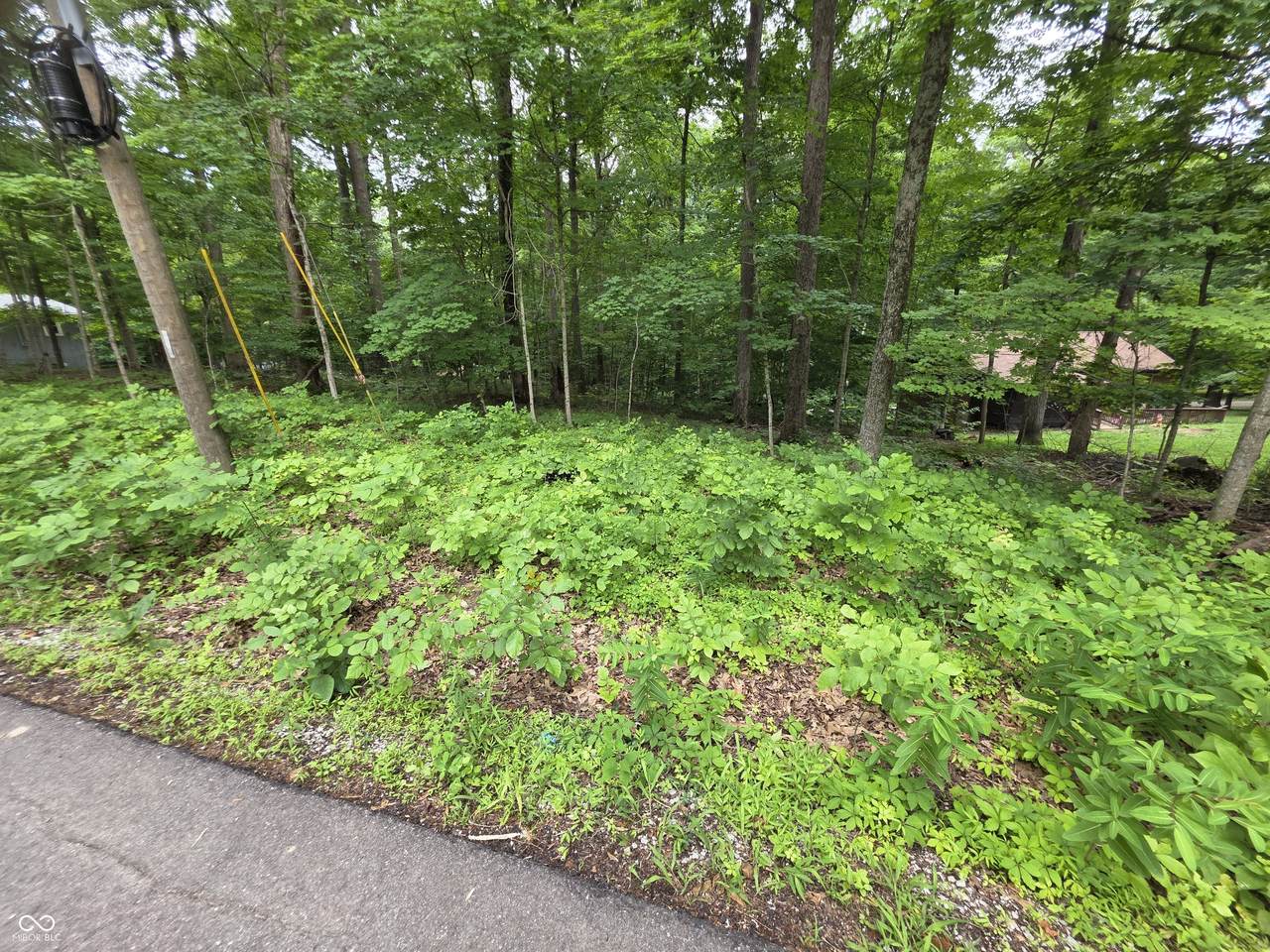 0 Bass Drive - Photo 1