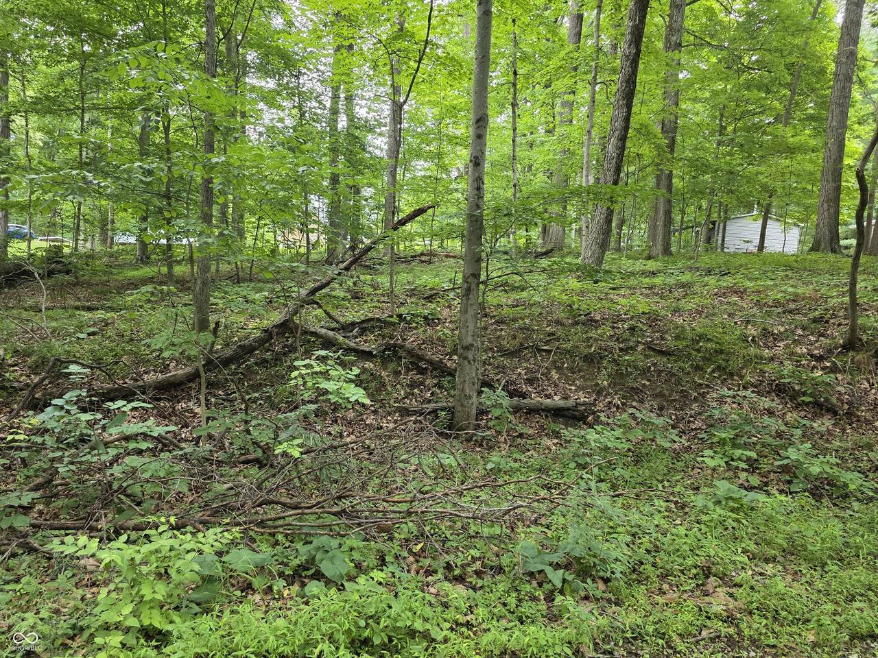 https://bt-photos.global.ssl.fastly.net/indy/1280_boomver_1_22118585-1.jpg