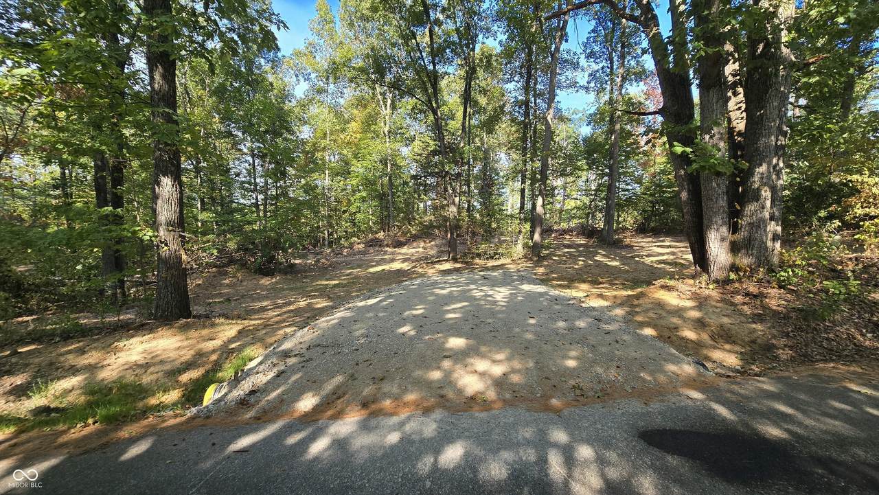 3 County Road 500 - Photo 1