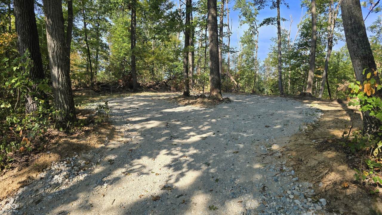 4 County Road 500 - Photo 1