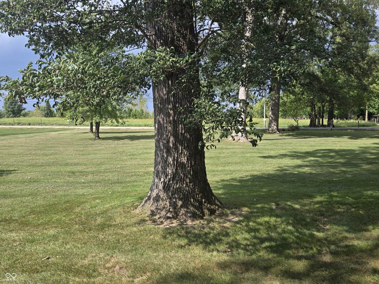 https://bt-photos.global.ssl.fastly.net/indy/1280_boomver_1_22125958-1.jpg
