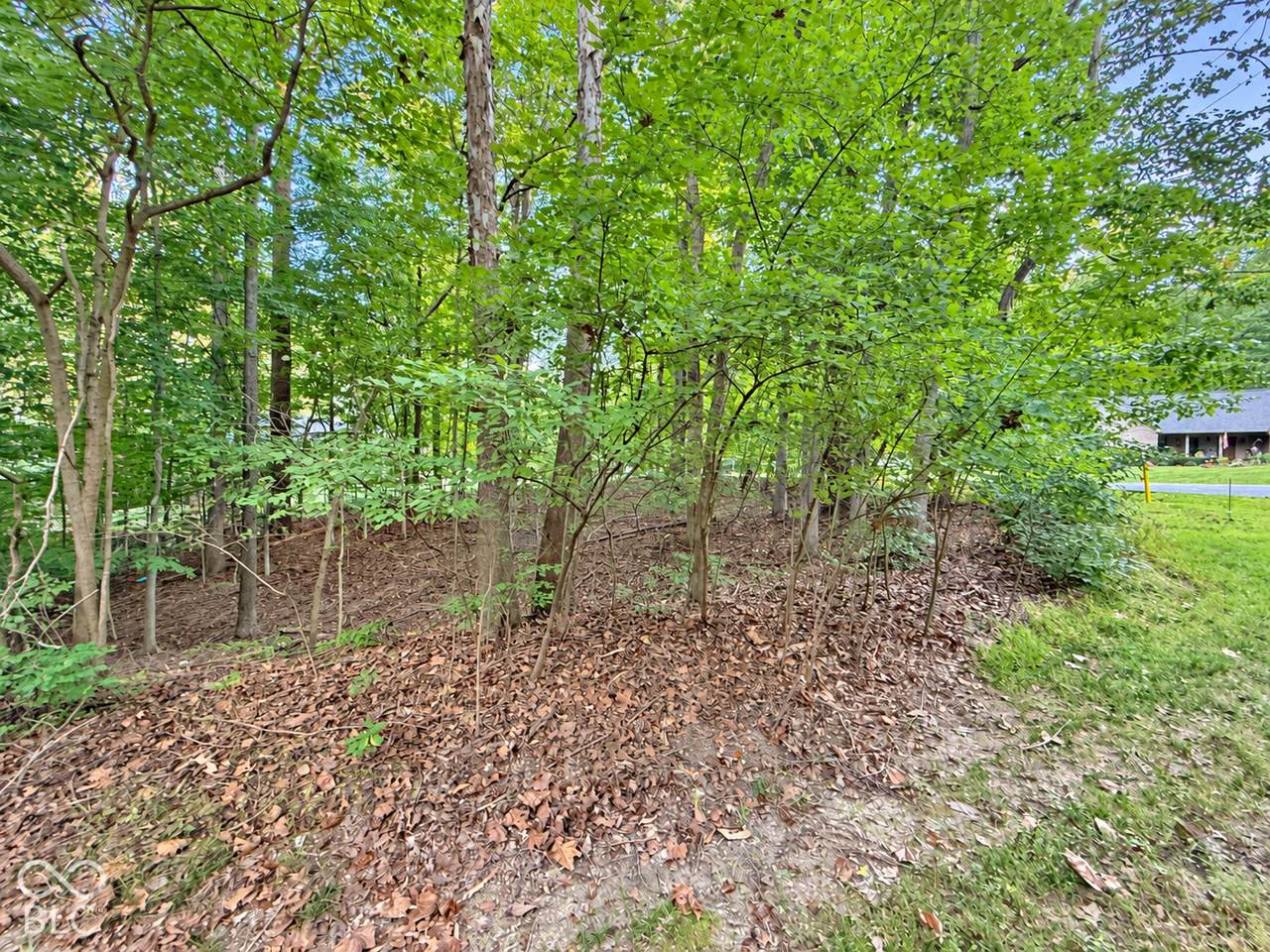 https://bt-photos.global.ssl.fastly.net/indy/1280_boomver_1_22129437-1.jpg