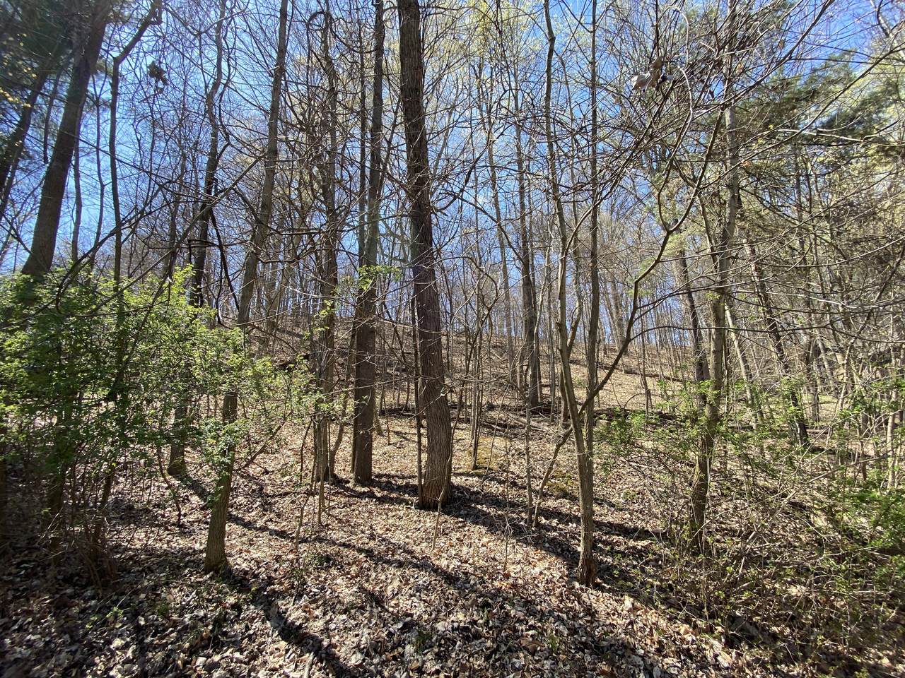 0 Oxford Court - Photo 1