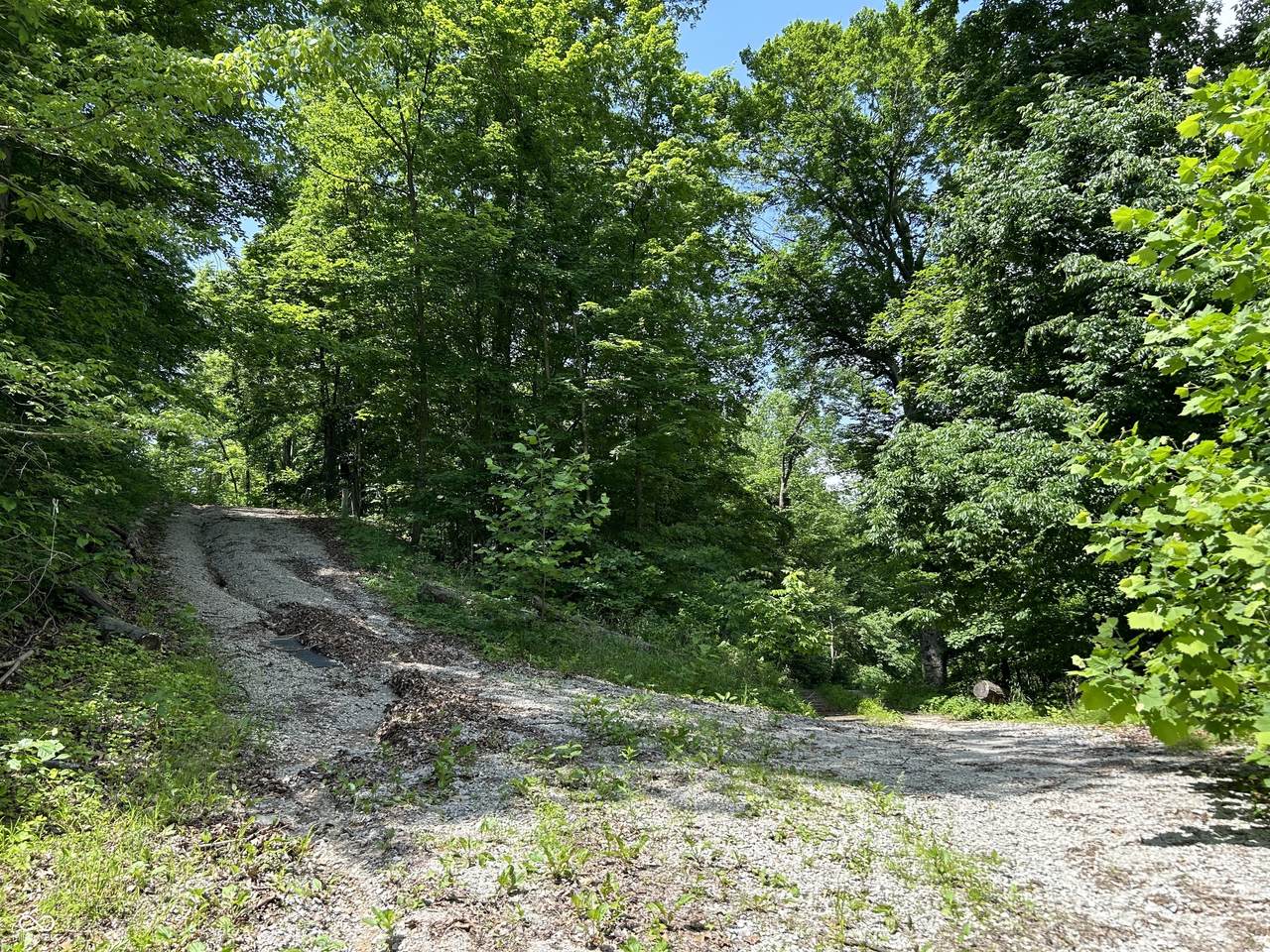 00 Legendary Drive - Photo 1