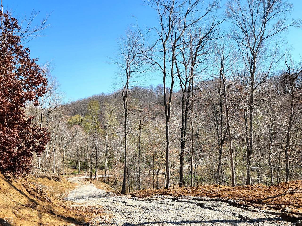 0 Goat Hollow Estate Lot 1 - Photo 1