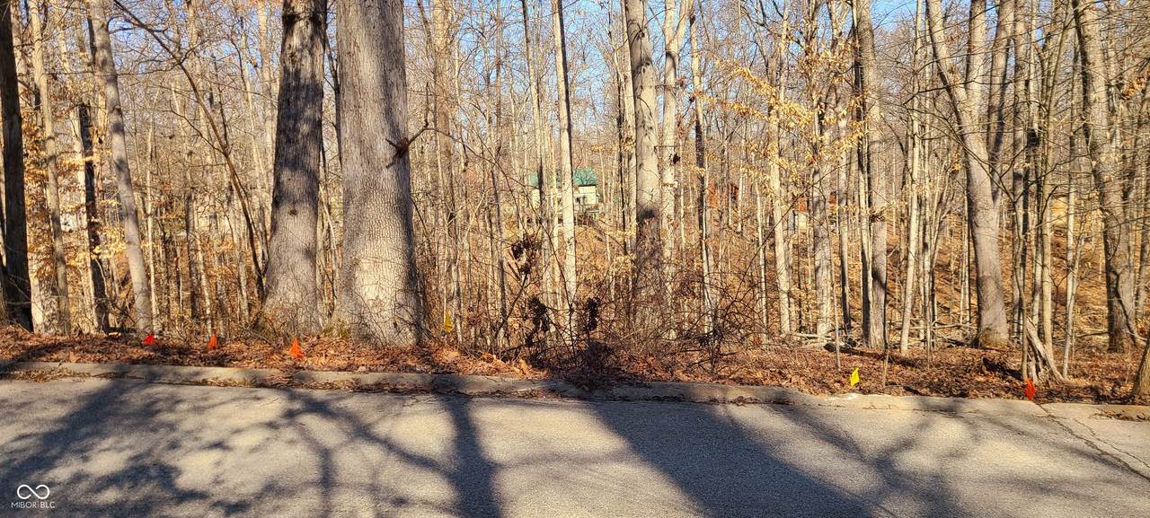 0 Oak Run Drive - Photo 1