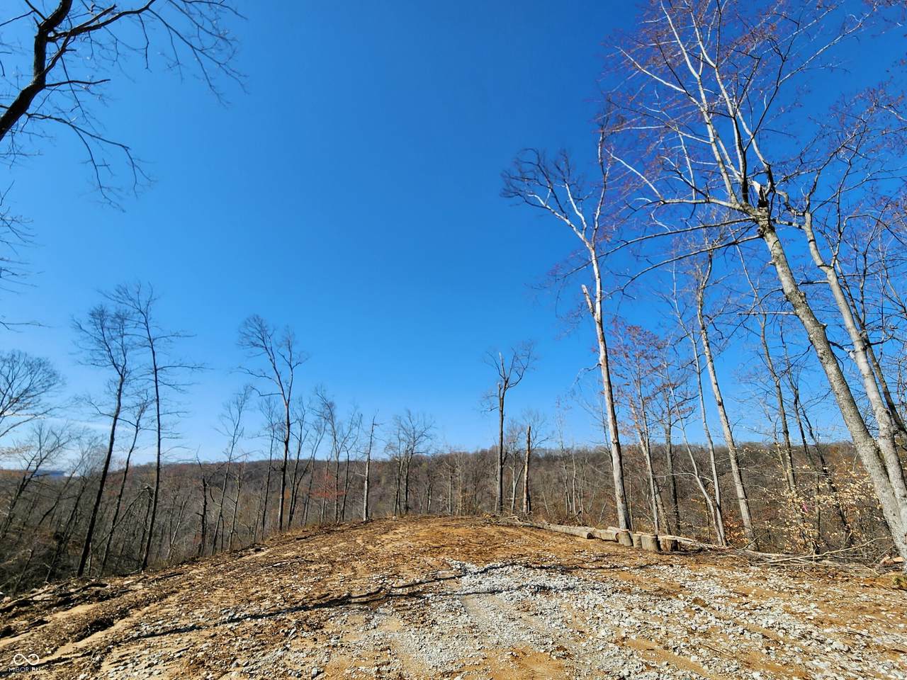 Lot 2 Goat Hollow Estates Road - Photo 1