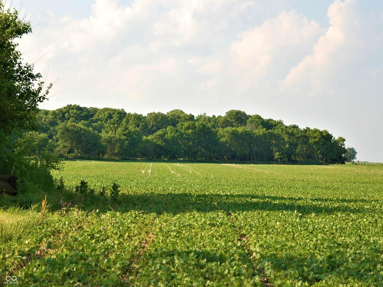 10188 State Road 47 - Photo 1