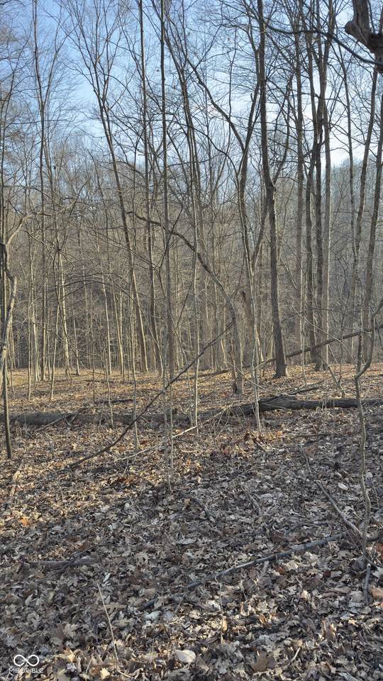 https://bt-photos.global.ssl.fastly.net/indy/1280_boomver_1_22081346-1.jpg