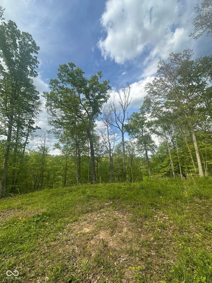 0 Lasalle Road - Photo 1