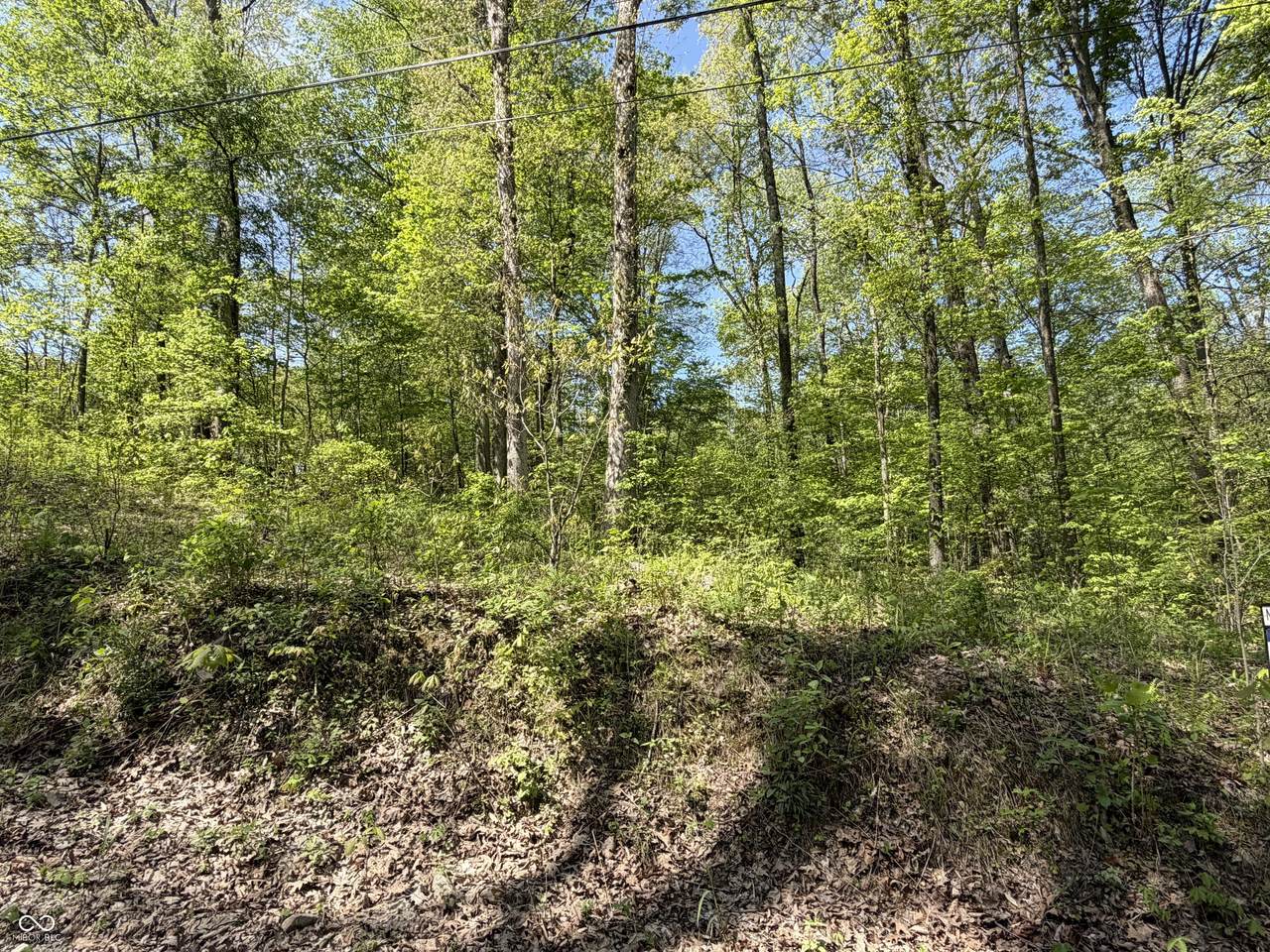 00 Straight Line Road - Photo 1