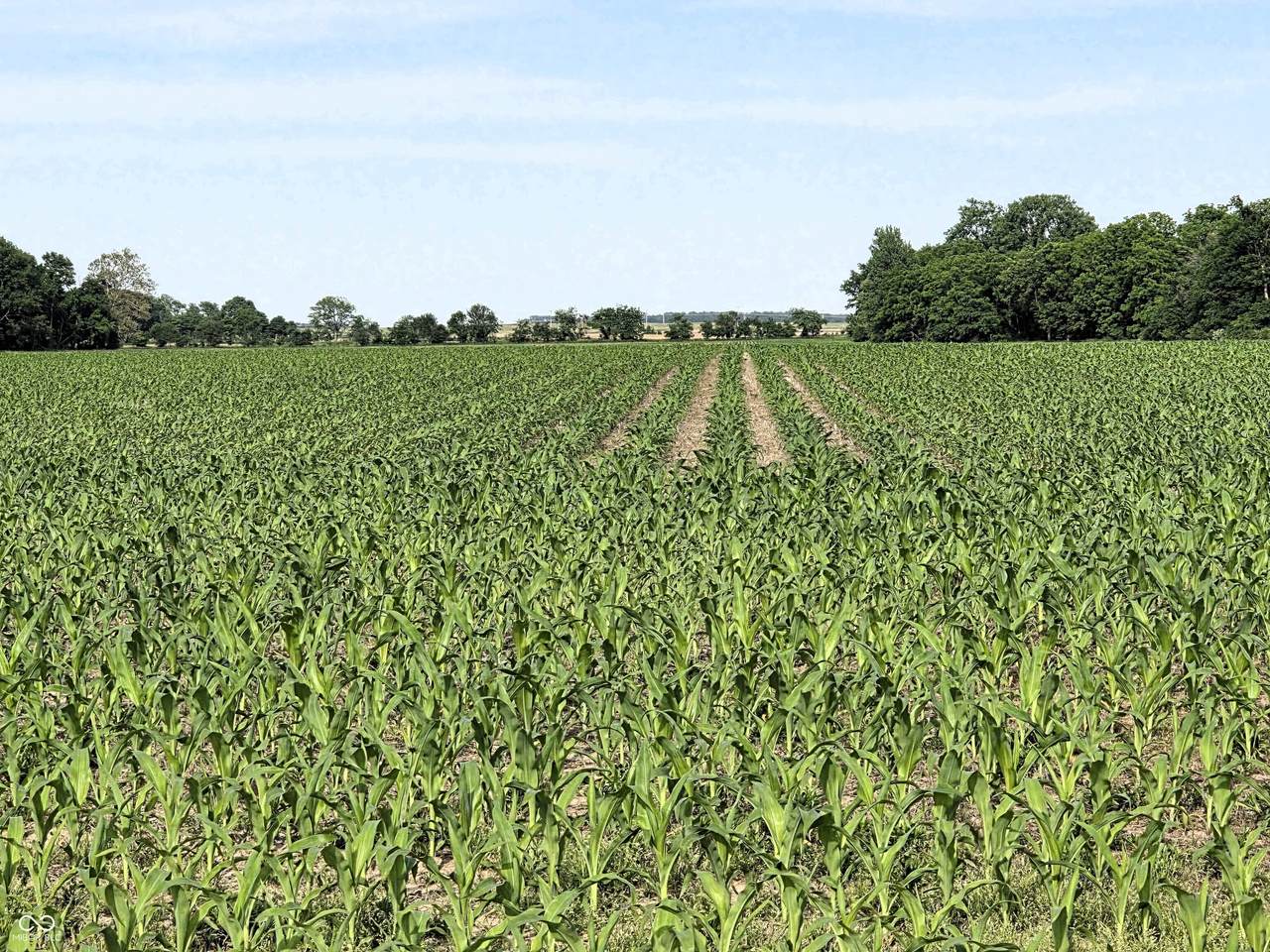 0 State Road 75 - Photo 1