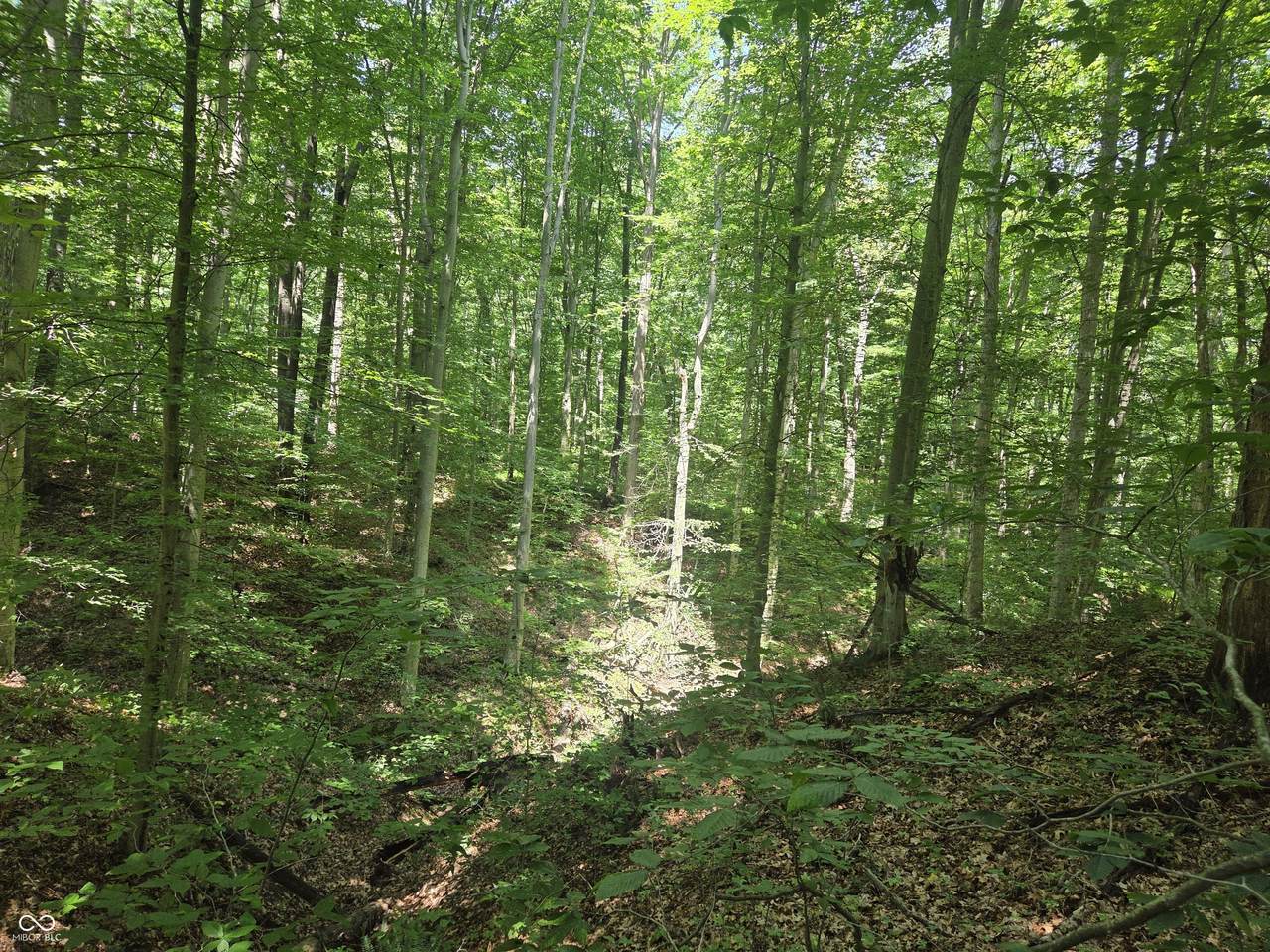 https://bt-photos.global.ssl.fastly.net/indy/1280_boomver_2_22107911-1.jpg