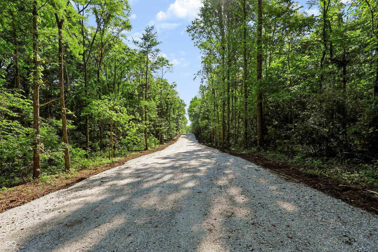 3555 Belle Arbres Lane - Photo 1