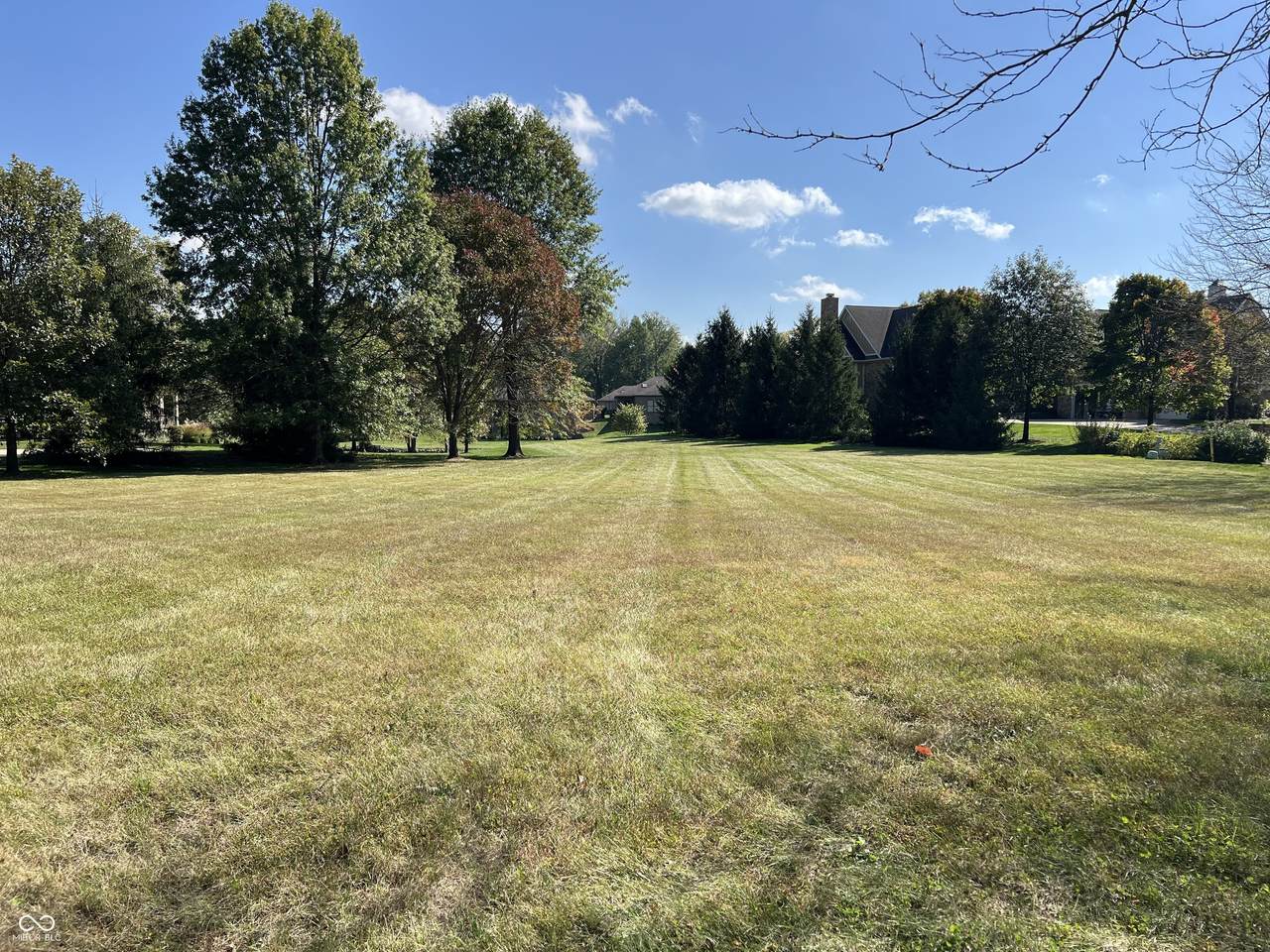887 Box Turtle Court - Photo 1