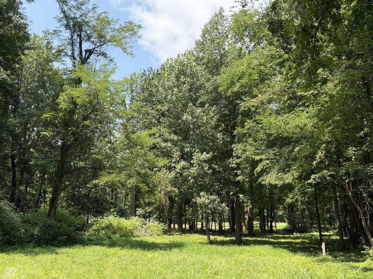 https://bt-photos.global.ssl.fastly.net/indy/1280_boomver_1_22117213-1.jpg