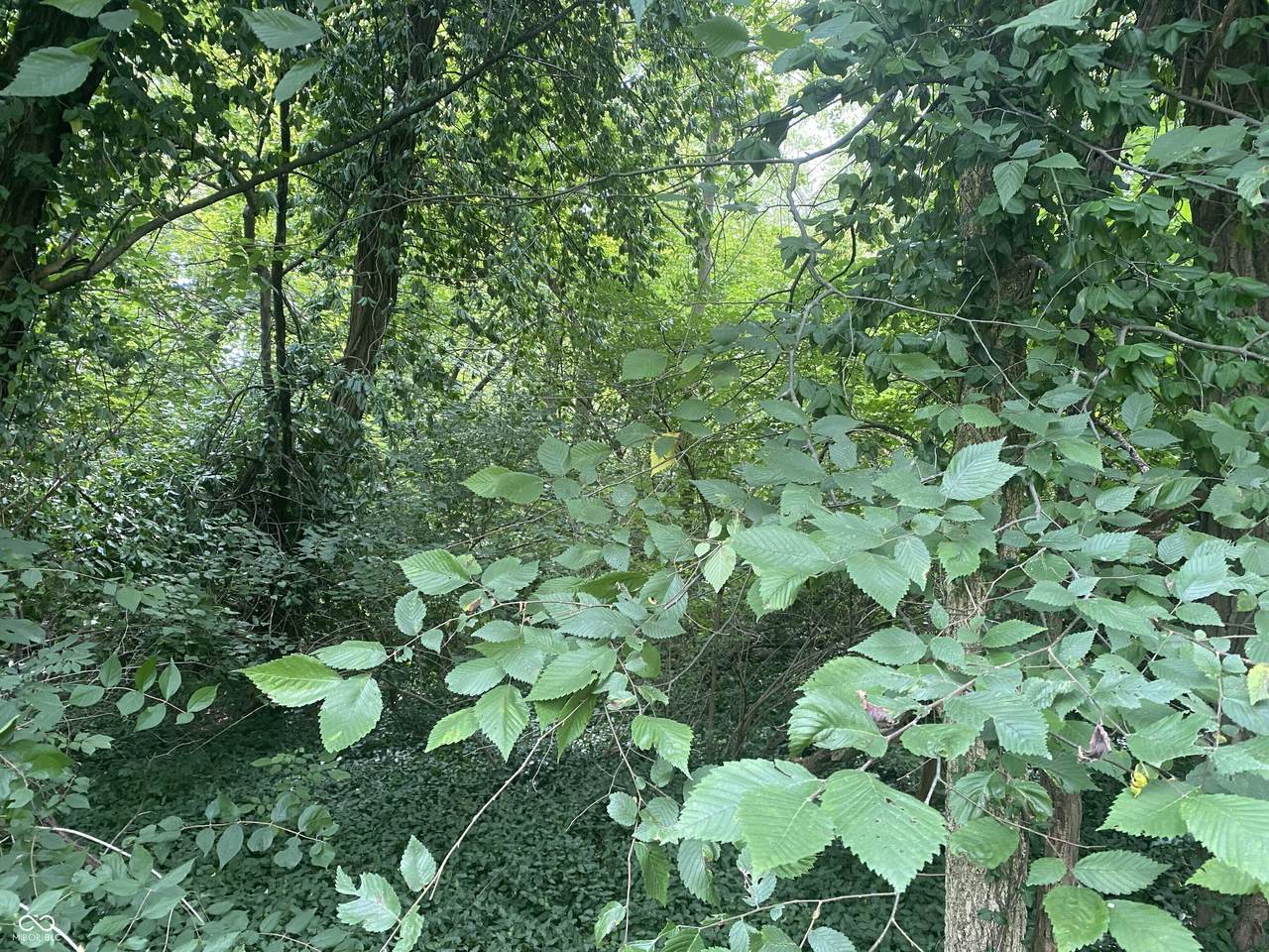 https://bt-photos.global.ssl.fastly.net/indy/1280_boomver_1_22117248-1.jpg