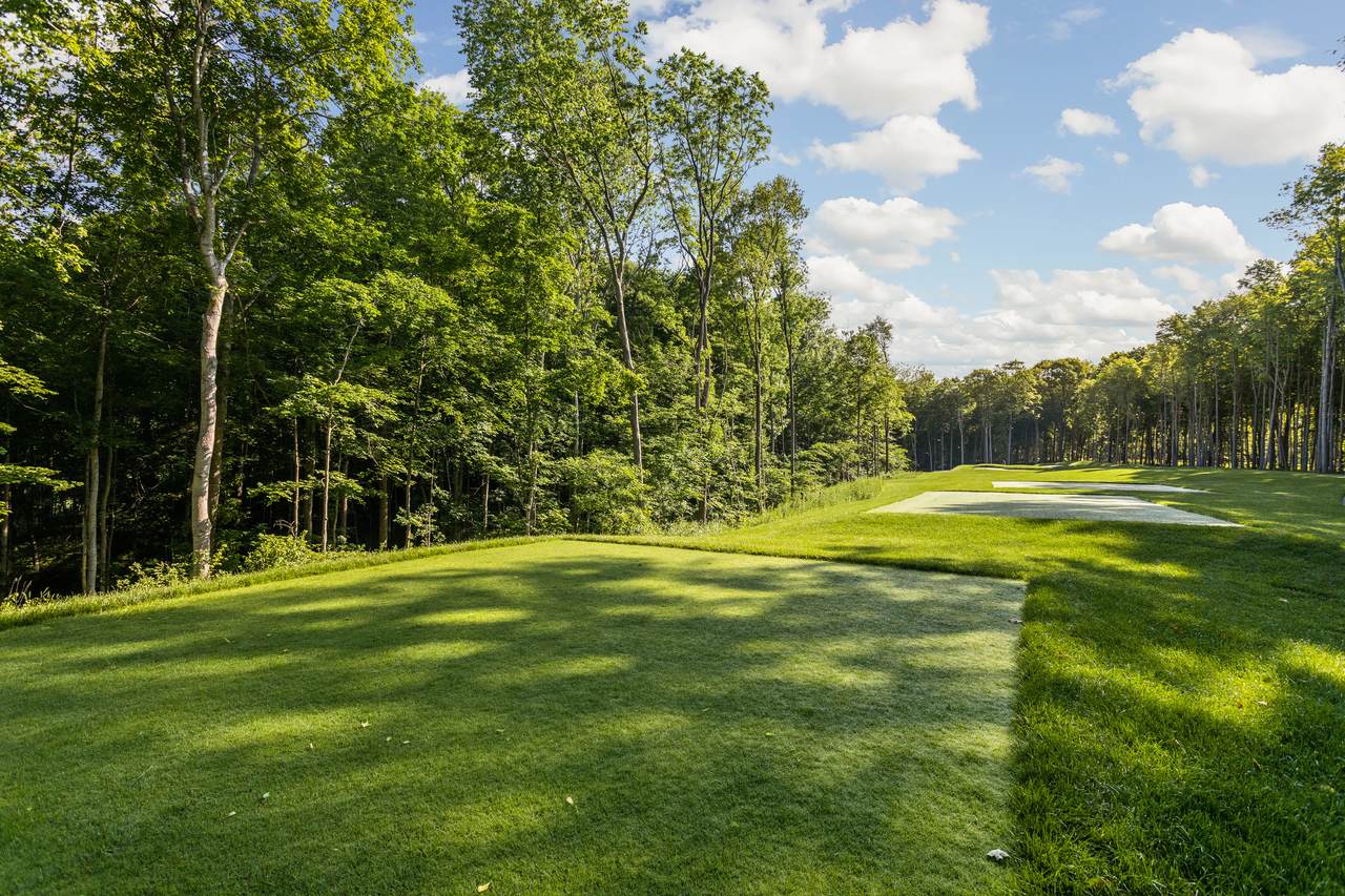 10405 Holliday Farms Boulevard - Photo 1