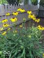 646 9th Street - Photo 45