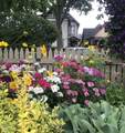 646 9th Street - Photo 47