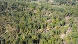 8000 County Road 625 Tract 4 - Photo 17