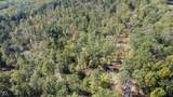 8000 County Road 625 Tract 4 - Photo 19