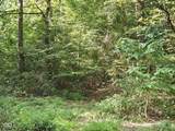 0 Goat Hollow Estates Lot 6 - Photo 12