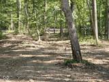 0 Goat Hollow Estates Lot 4 - Photo 6
