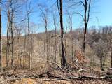0 Goat Hollow Estate Lot 1 - Photo 3