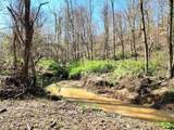 0 Goat Hollow Estate Lot 1 - Photo 4