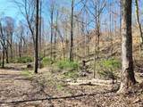 0 Goat Hollow Estate Lot 1 - Photo 6