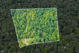 0 Goat Hollow Estate Lot 1 - Photo 10