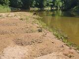 3180 County Road 425 - Photo 4