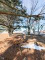 9349 231 Highway - Photo 28