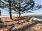 9349 231 Highway - Photo 29