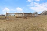 6293 County Road 250 - Photo 39