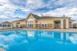 5003 Lilium Drive - Photo 34