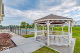 5003 Lilium Drive - Photo 38