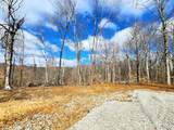 Lot 2 Goat Hollow Estates Road - Photo 3