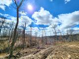 Lot 2 Goat Hollow Estates Road - Photo 5