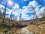 Lot 2 Goat Hollow Estates Road - Photo 6
