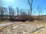 Lot 2 Goat Hollow Estates Road - Photo 7