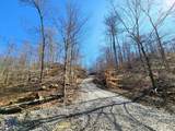 Lot 2 Goat Hollow Estates Road - Photo 8
