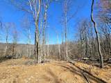 Lot 2 Goat Hollow Estates Road - Photo 9