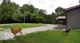 7677 4 Mile Ridge Road - Photo 43