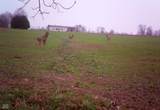 12906 450 - Photo 28