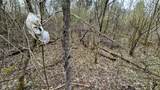 0 Bursot Branch Road - Photo 14