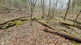 0 Bursot Branch Road - Photo 15