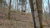 0 Bursot Branch Road - Photo 20