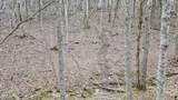 0 Bursot Branch Road - Photo 21